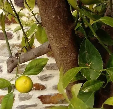 לינה וארוחת בוקר Domaine De L'archange Dragey