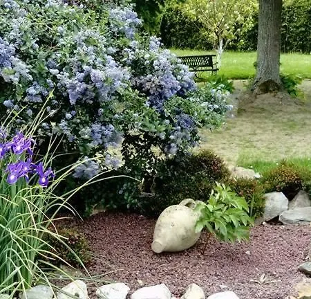 Domaine De L'archange Bed & Breakfast *