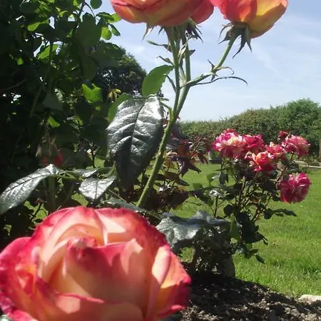 Domaine De L'archange Bed & Breakfast Dragey