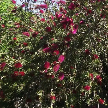 לינה וארוחת בוקר Domaine De L'archange *